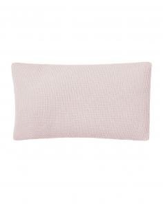 COJIN BEE TEDDY ROSA PETITPRAIA