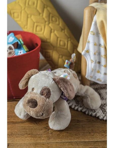 PELUCHE PERRO ACTIVIDADES TAGGIES BRIGHT STARTS