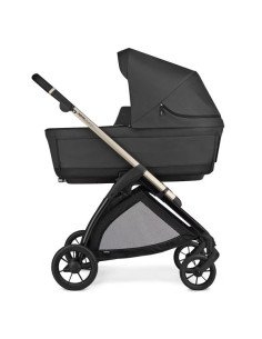 DUO ELECTA  INGLESINA