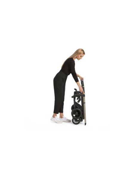 DUO ELECTA  INGLESINA